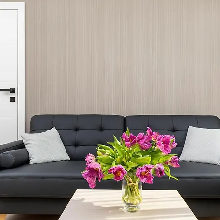 Modern Center By Renters *