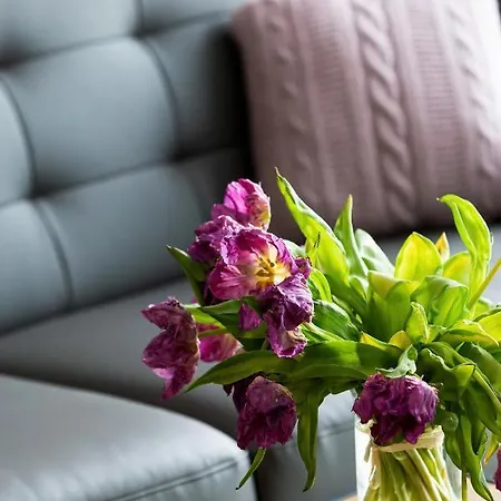 Modern Center By Renters * Πόζναν