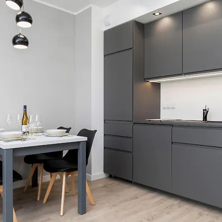 Modern Center By Renters Poznaň