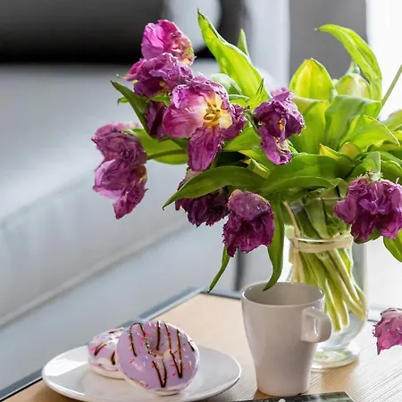 Modern Center By Renters *