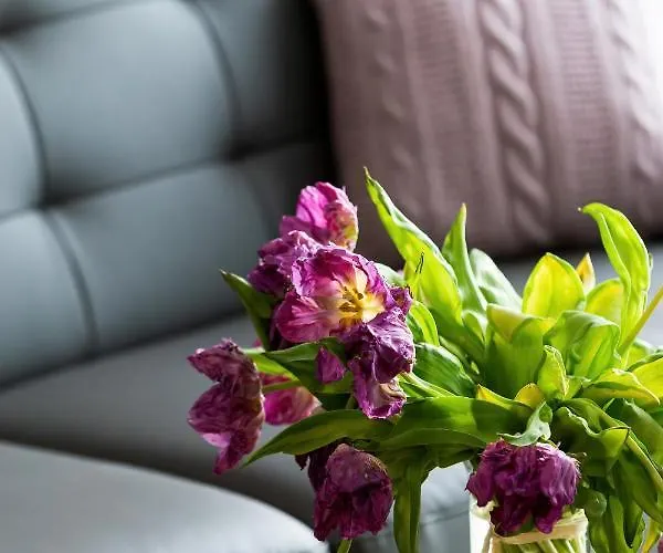 Modern Center By Renters * بوزنان